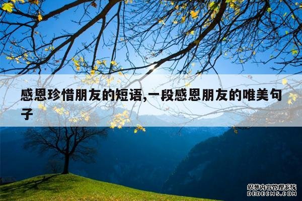 <b>感恩珍惜朋友的短语,一段感恩朋友的唯美句子</b>