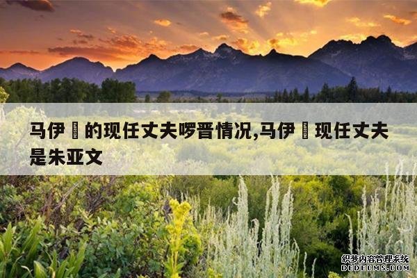 <b>马伊琍的现任丈夫啰晋情况,马伊琍现任丈夫是朱亚文</b>