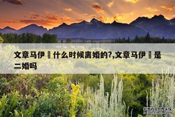 <b>文章马伊琍什么时候离婚的?,文章马伊琍是二婚吗</b>