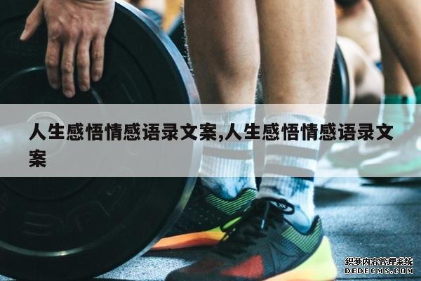 <b>人生感悟情感语录文案,人生感悟情感语录文案</b>