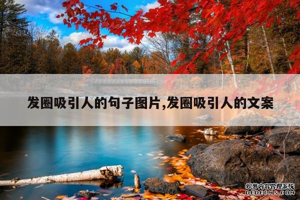 <b>发圈吸引人的句子图片,发圈吸引人的文案</b>