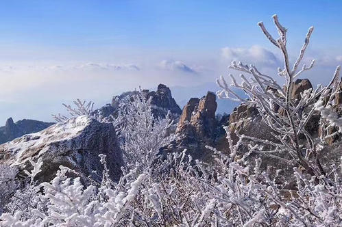 《三角形的面积计算公式》教学设计