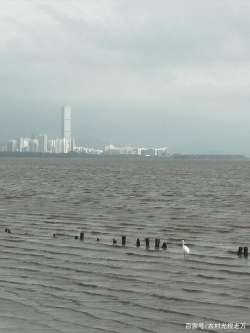 2013年珠海市(史上最难)中考数学试卷