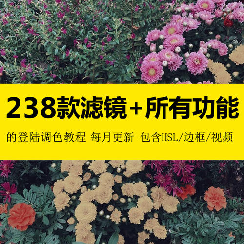 数学发展的现状与中小学数学教育