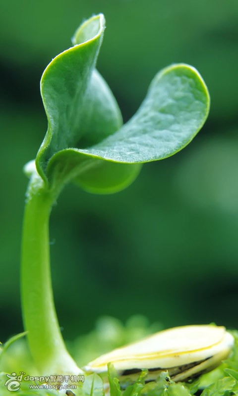 一年级数学分析期末