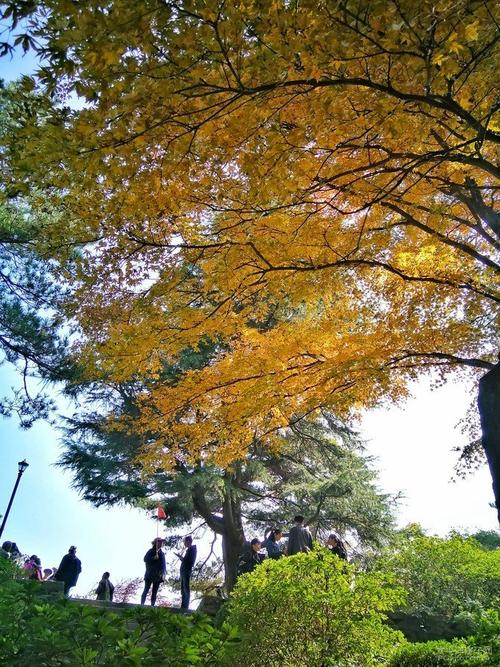 细说历朝历代后宫侍寝制度,占星、羊车、风流箭