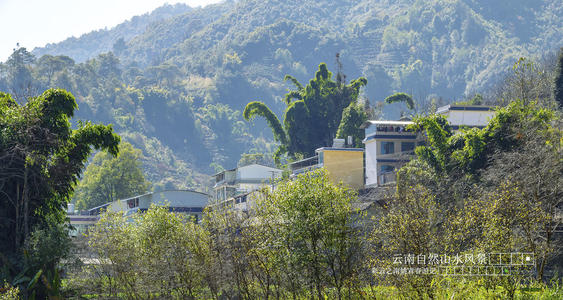 历年考研政治真题一向是备战考研考生最重视的复习资料,...