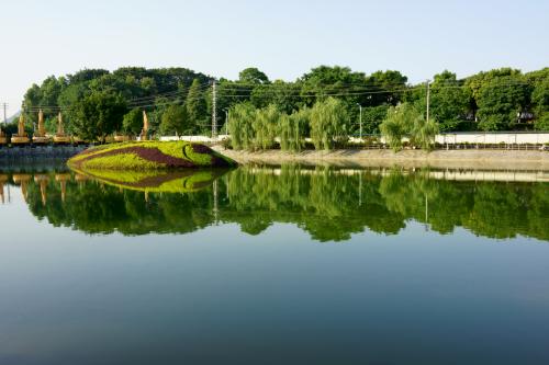 对当前小学数学教学中存在的问题浅析